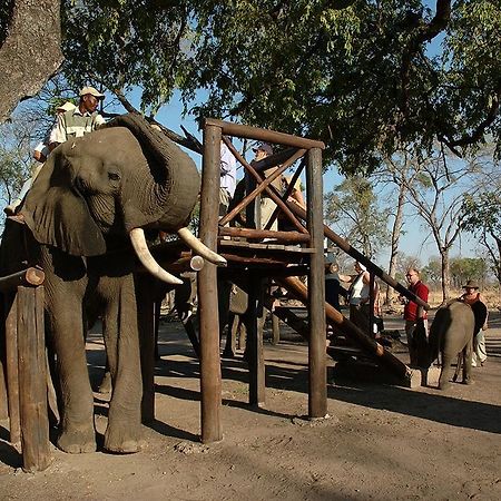 Three Cities Thorntree River Lodge Livingstone Exteriör bild