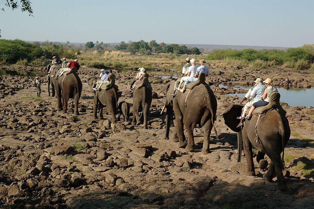 Three Cities Thorntree River Lodge Livingstone Exteriör bild