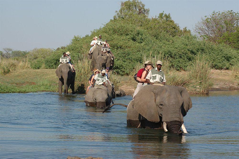 Three Cities Thorntree River Lodge Livingstone Exteriör bild