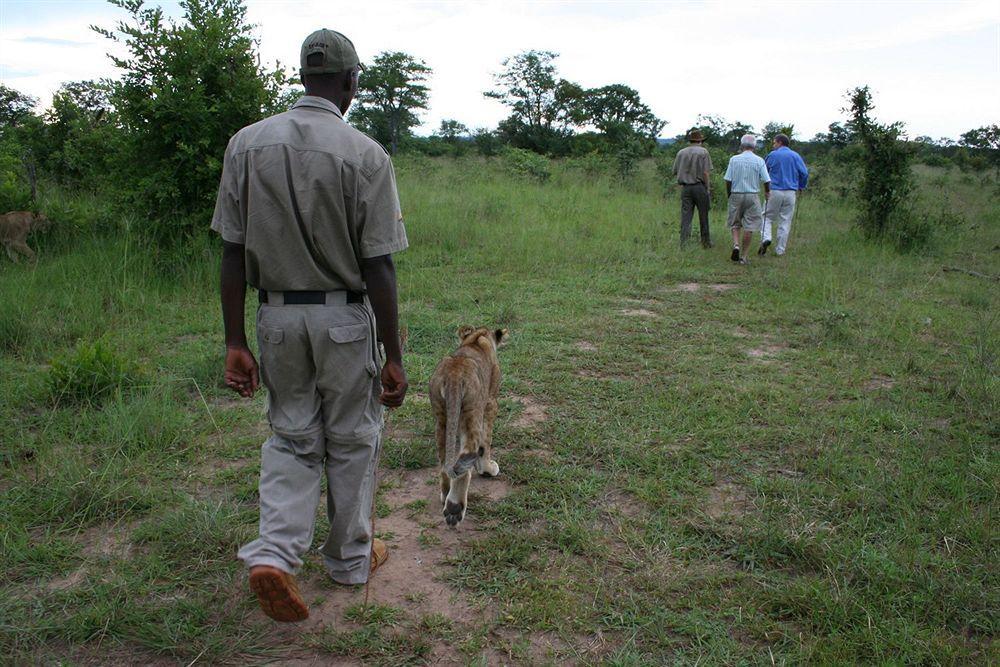 Three Cities Thorntree River Lodge Livingstone Exteriör bild