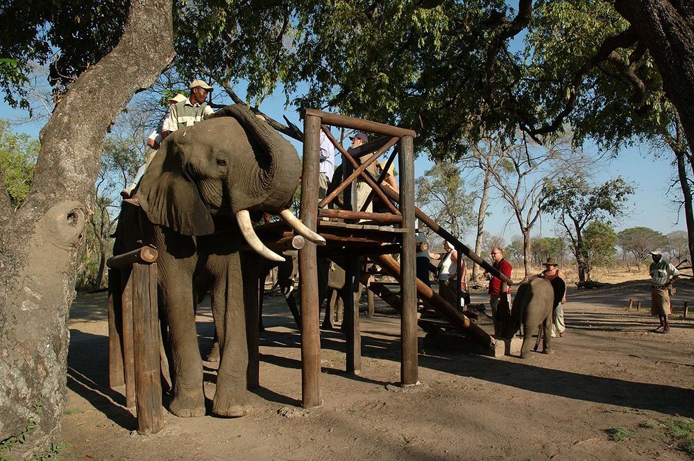 Three Cities Thorntree River Lodge Livingstone Exteriör bild